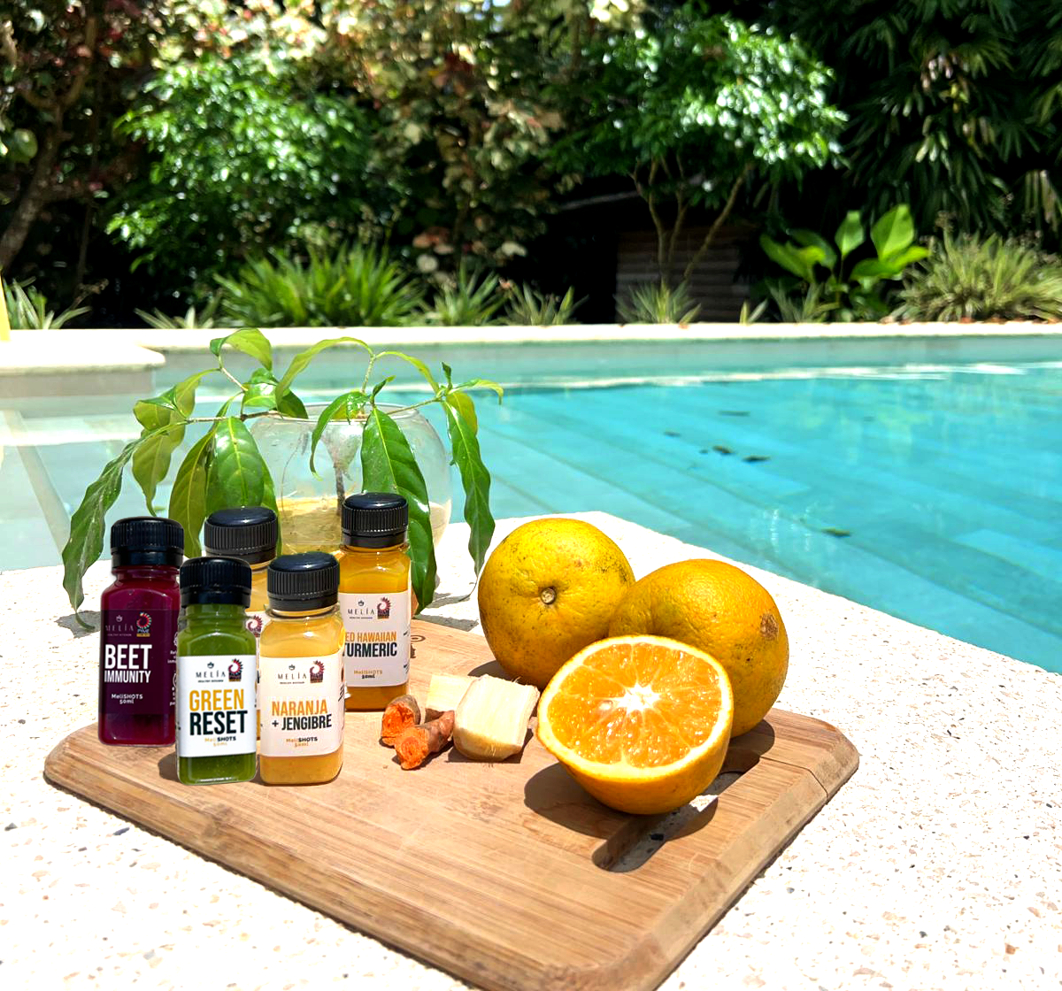 Combo de 5 Shots Funcionales